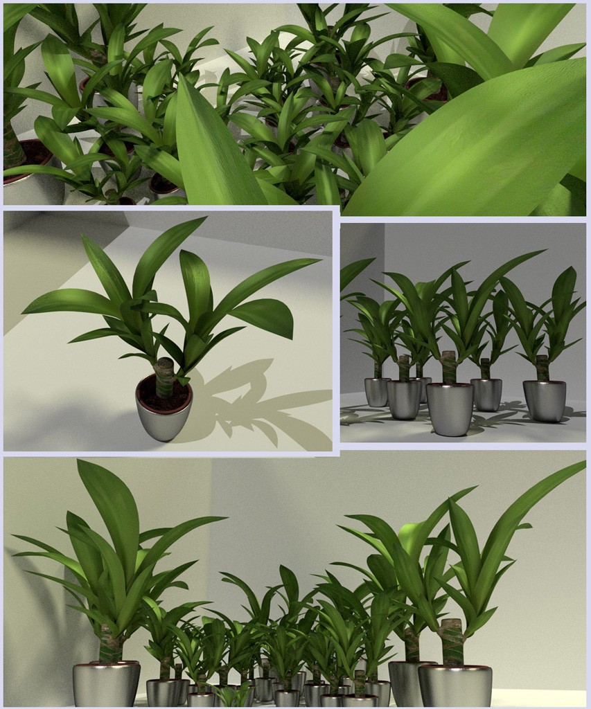 Indoor Pot Plant 2 preview image 1